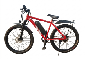 EV cycle 2